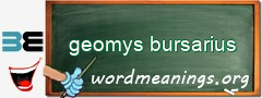 WordMeaning blackboard for geomys bursarius